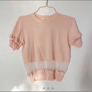 Pink Crop Blouse with Sheer Detail
